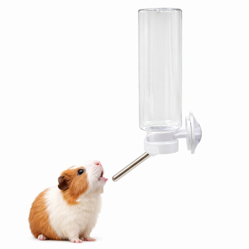 Clear Ball Water Bottle-8.5 fl oz/16 fl oz