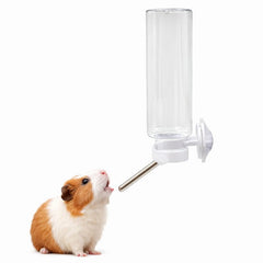 Clear Ball Water Bottle-8.5 fl oz/16 fl oz