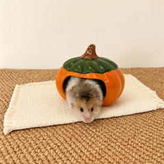 Pumpkin Ceramic Hideout