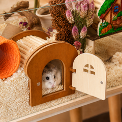 WildPalz Toast Magnetic Peekaboo Hideout