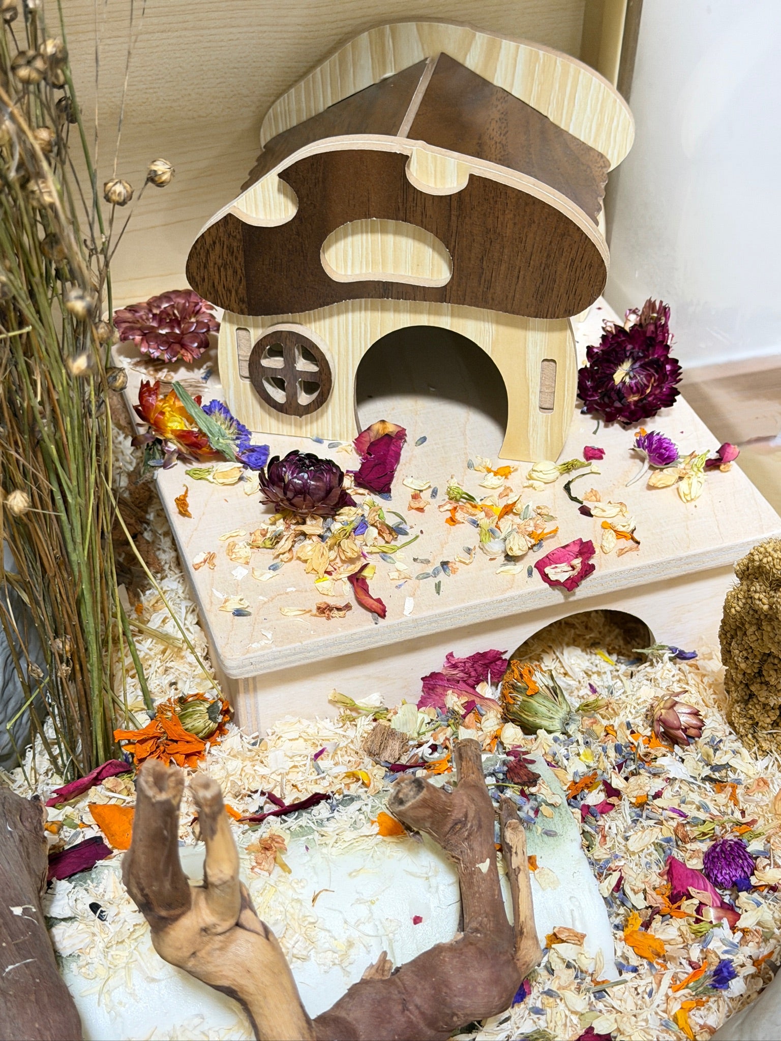 Wooden Mushroom Hideout for Hamsters