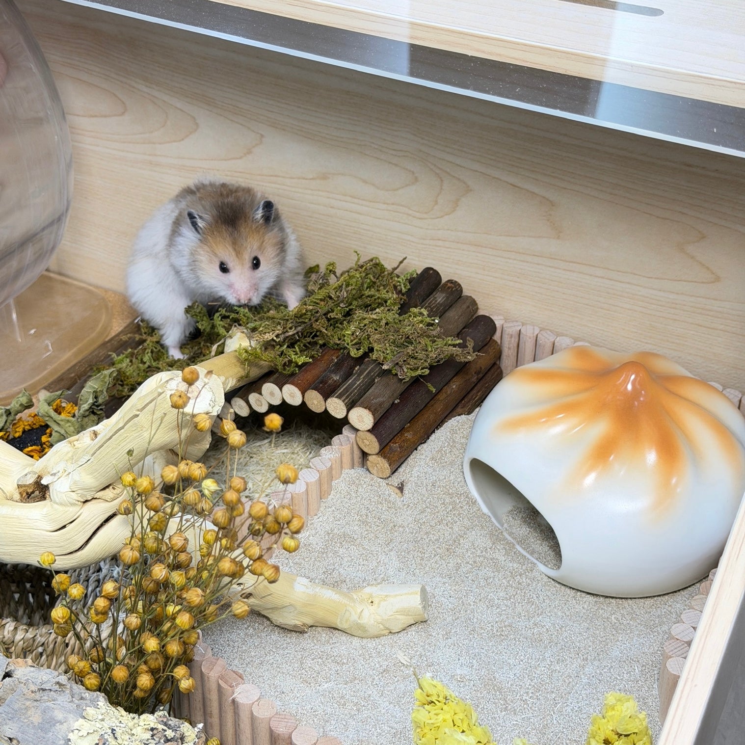 Pan-Fried Bun Ceramic Hamster Hideout