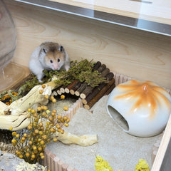 Pan-Fried Bun Ceramic Hamster Hideout