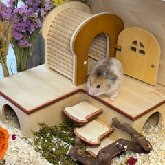 Toast Hideout Duo – Magnetic Peekaboo & Multi-Chamber Bundle