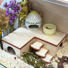 Toast Multi-Chamber Hideout & Sand Bath Bundle