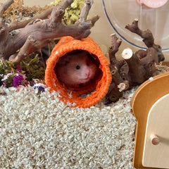 Colorful Paper Rope Hamster Tunnel