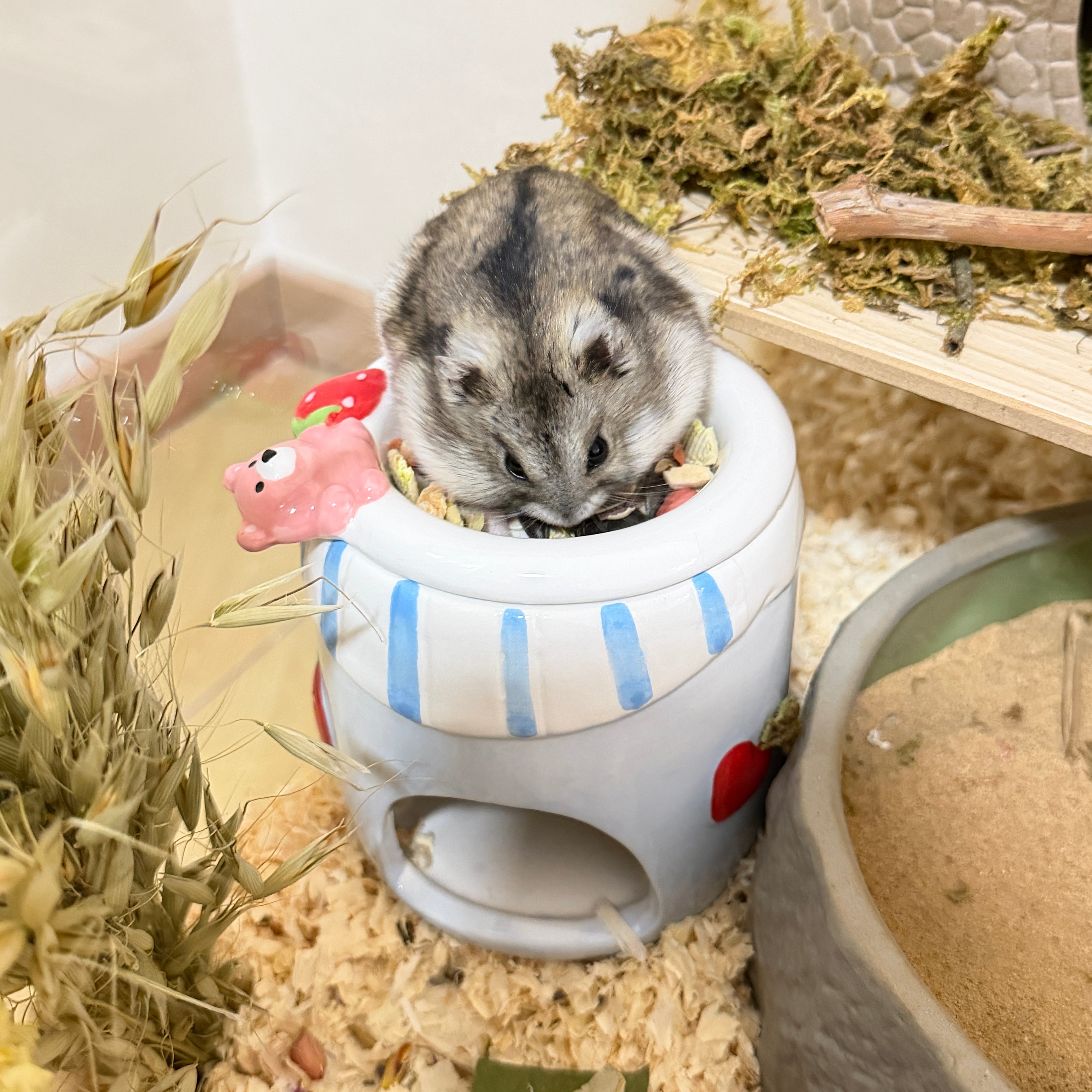 Cute Ceramic Hamster Hideout & Food Bowl
