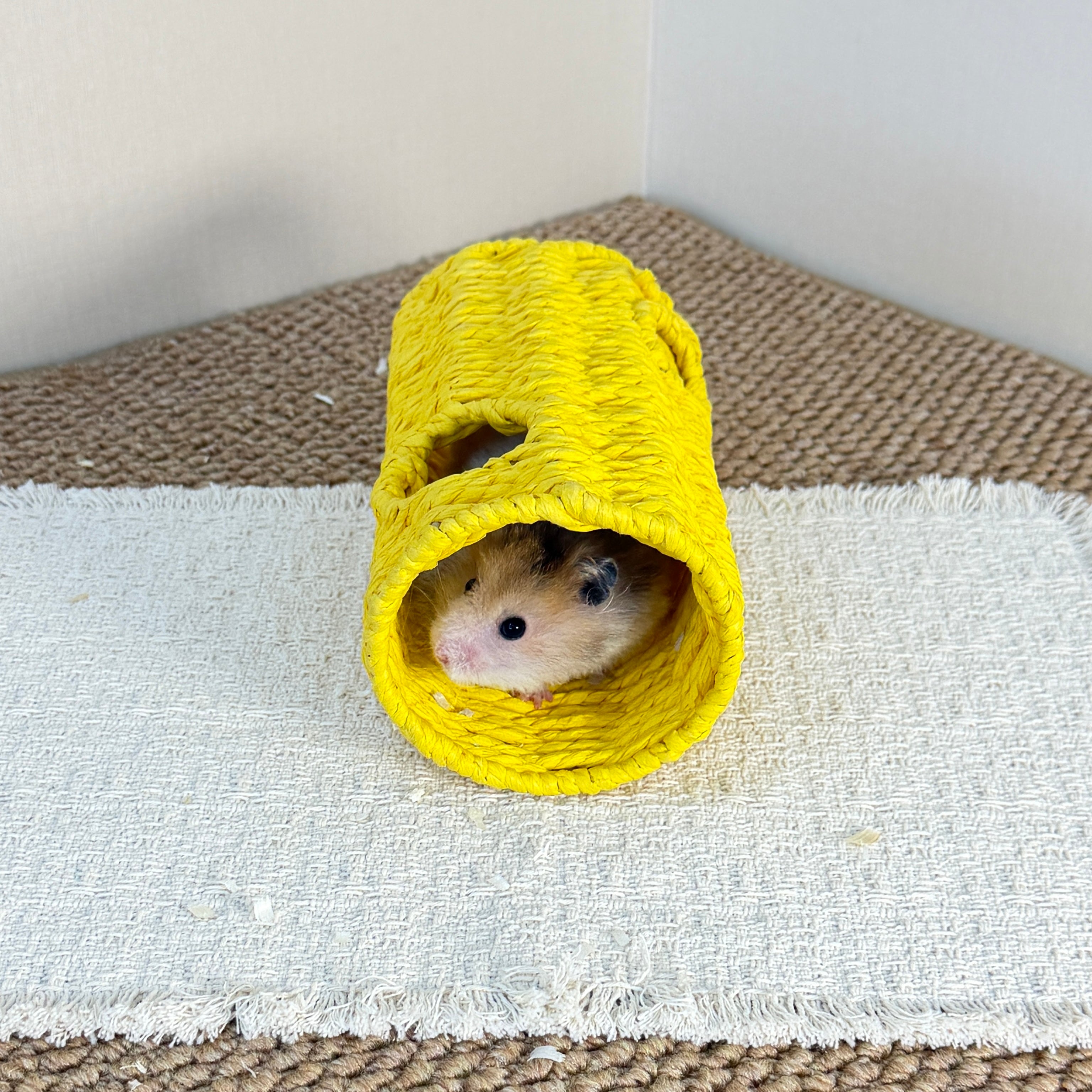 Colorful Paper Rope Hamster Tunnel