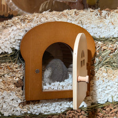 WildPalz Toast Magnetic Peekaboo Hideout