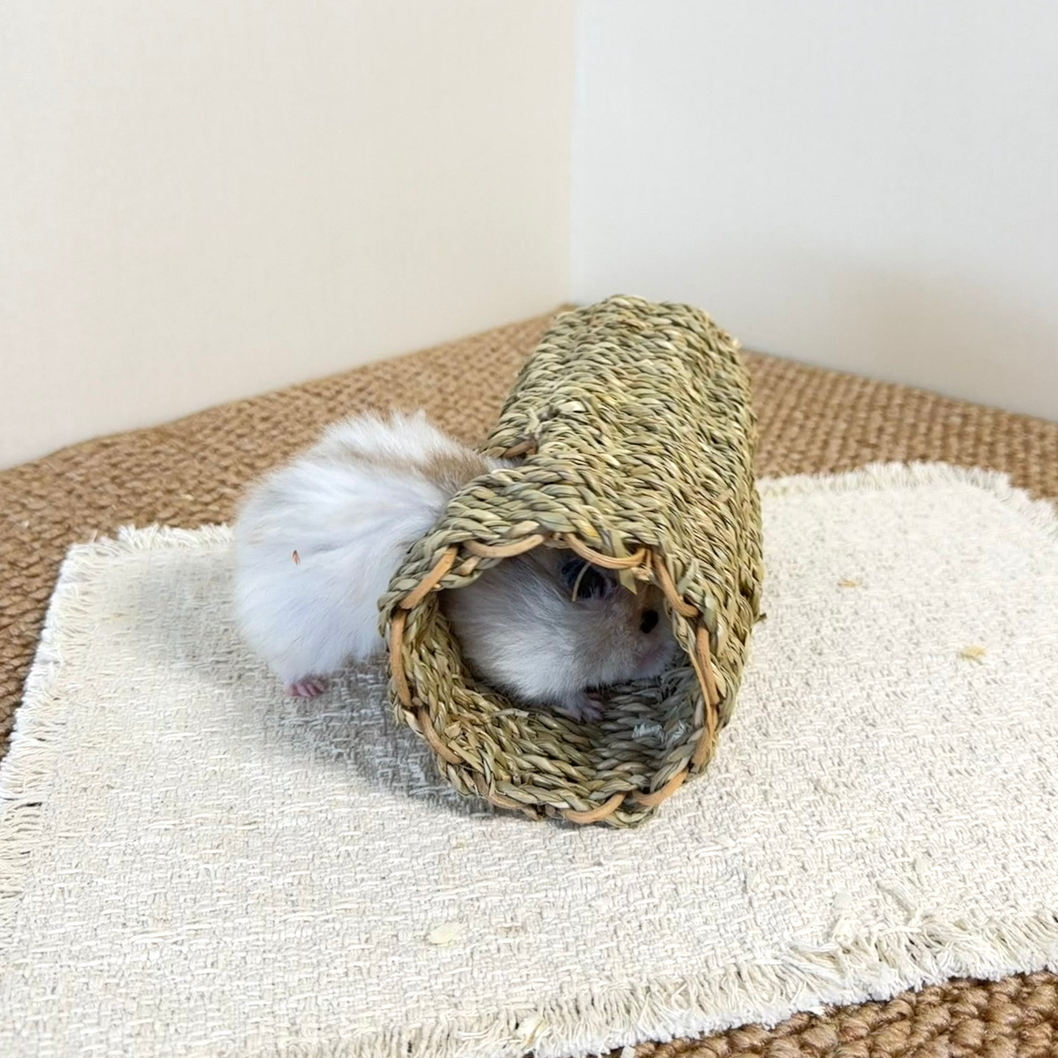 Natural Woven Grass Hamster Tunnel