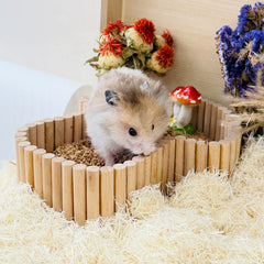 Toast Multi-Chamber Hideout & Sand Bath Bundle