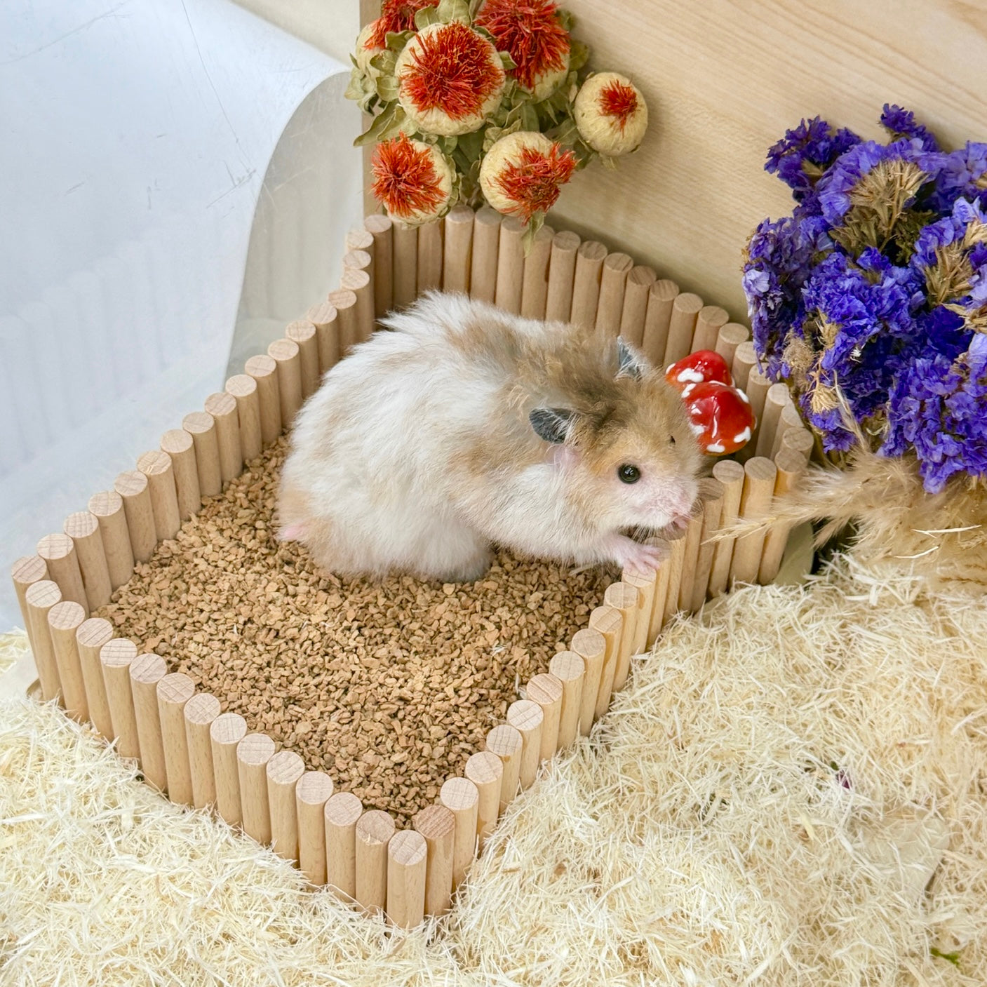 Wooden Hamster Platform & Sand Bath Bundle