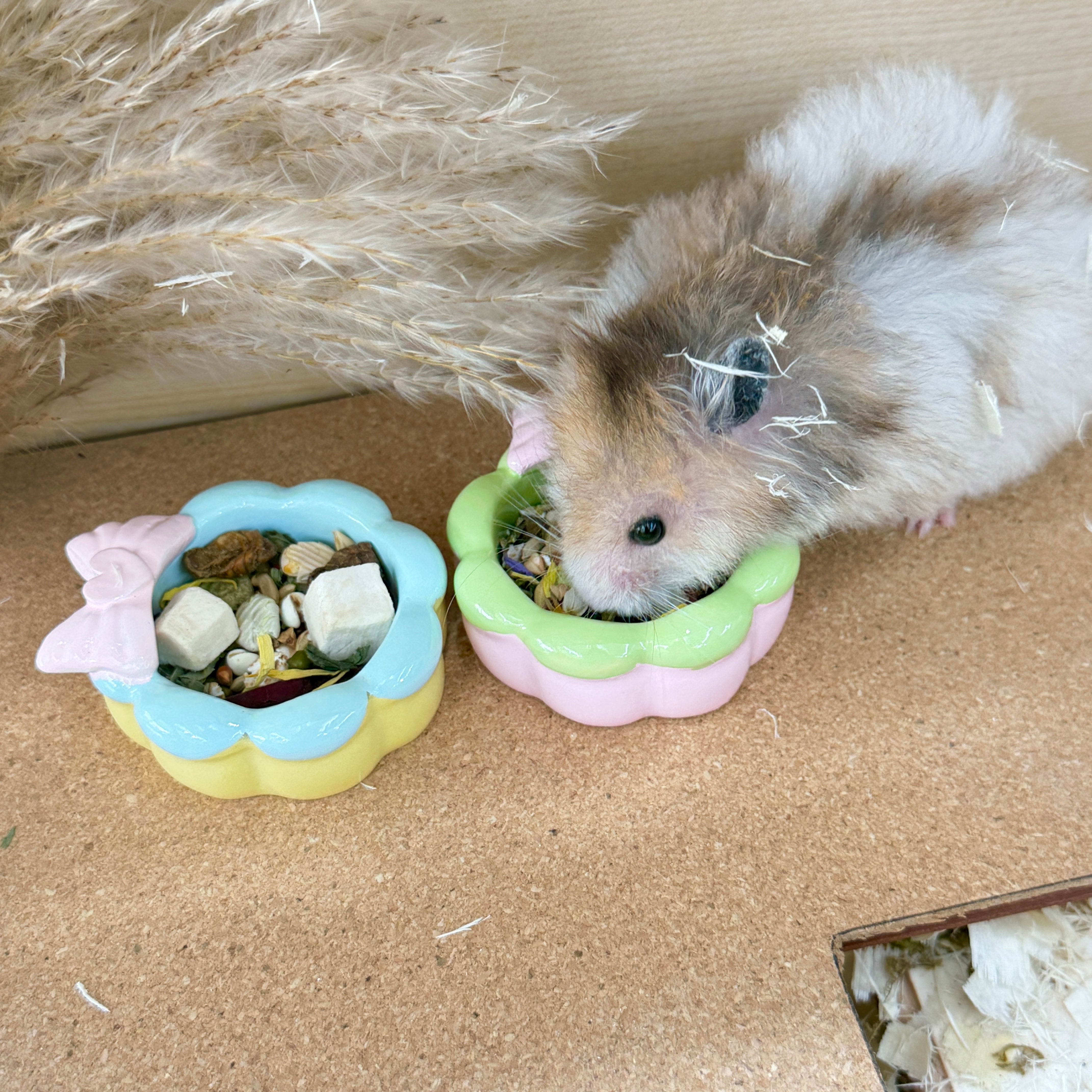 Waffle Ice Cream Hamster Food & Water Bowl