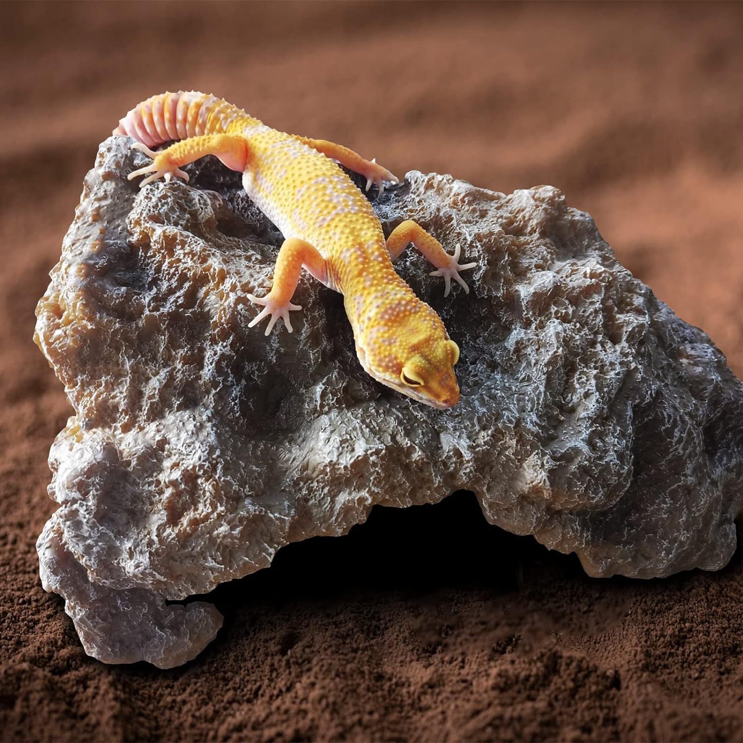 Reptile Rock Hideout