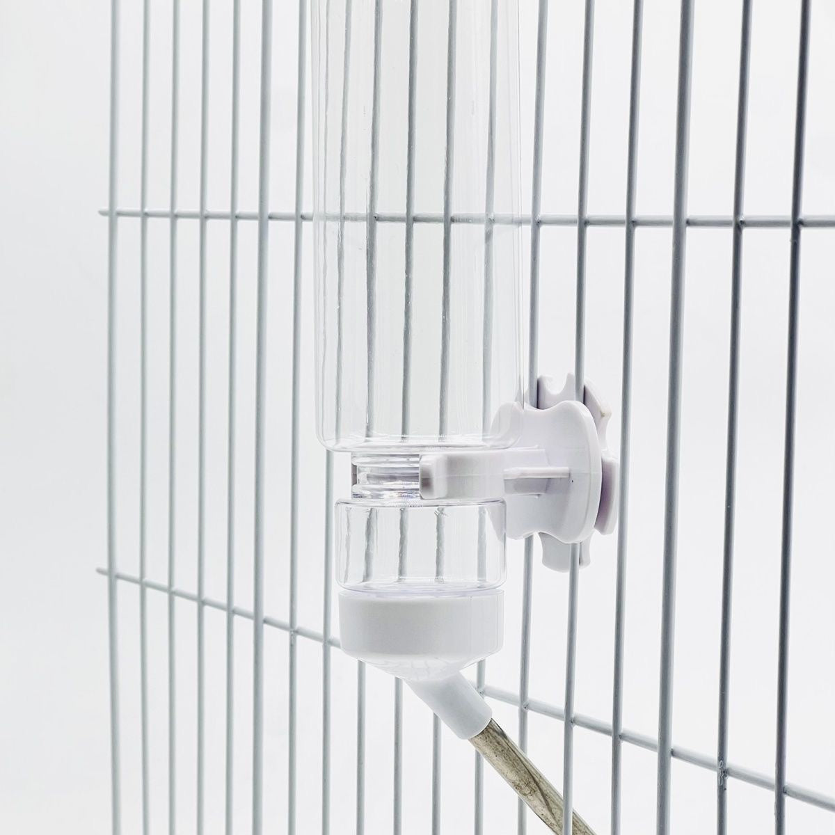 Clear Ball Water Bottle-8.5 fl oz/16 fl oz