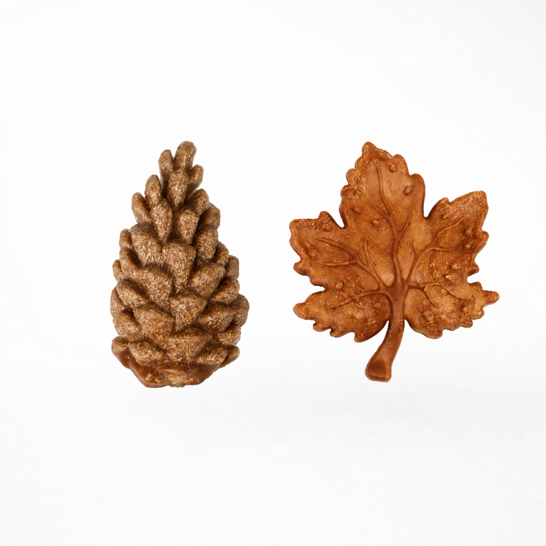 Autumn Chew Set – Pine Cone & Maple Leaf
