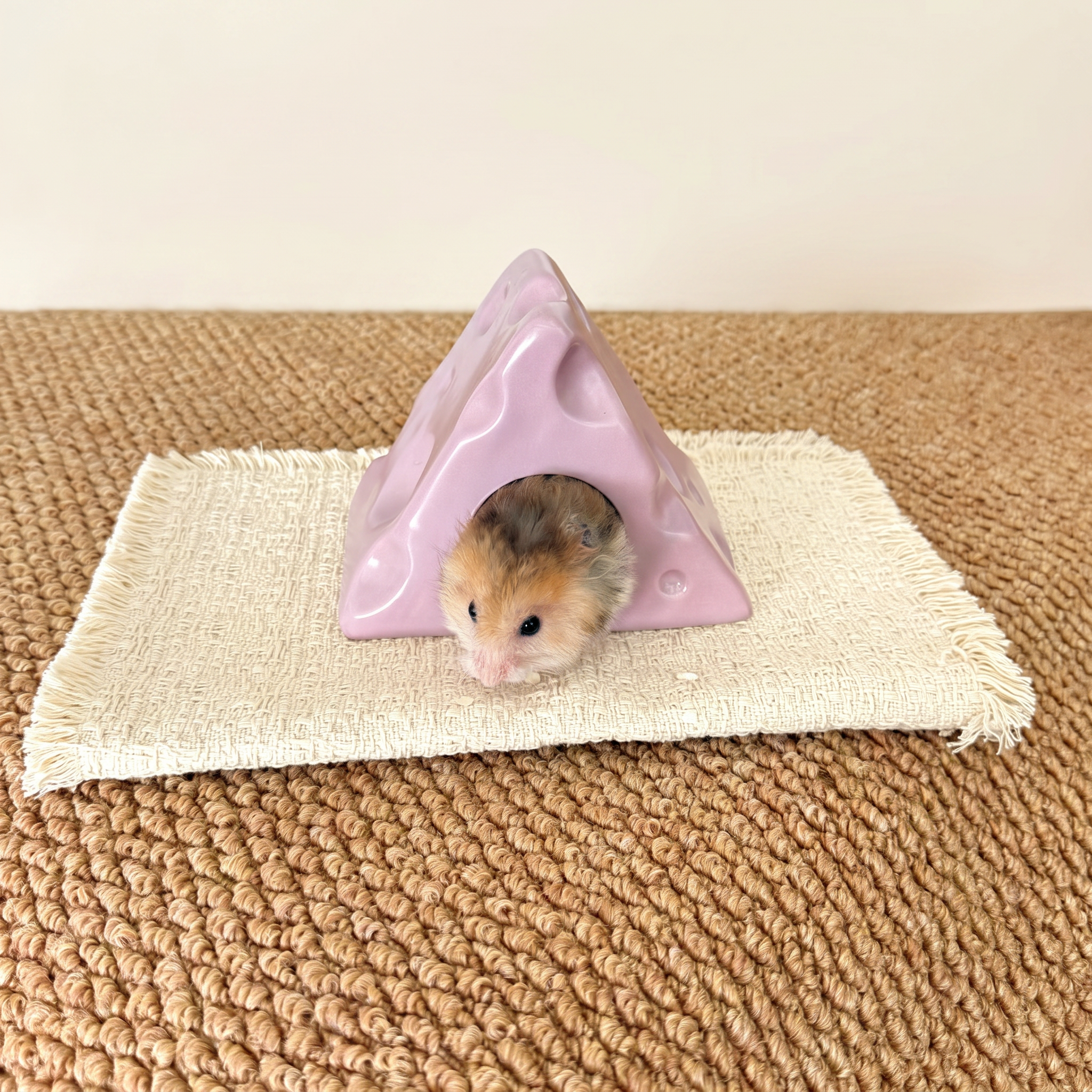 Triangle Cheese Ceramic Hideout
