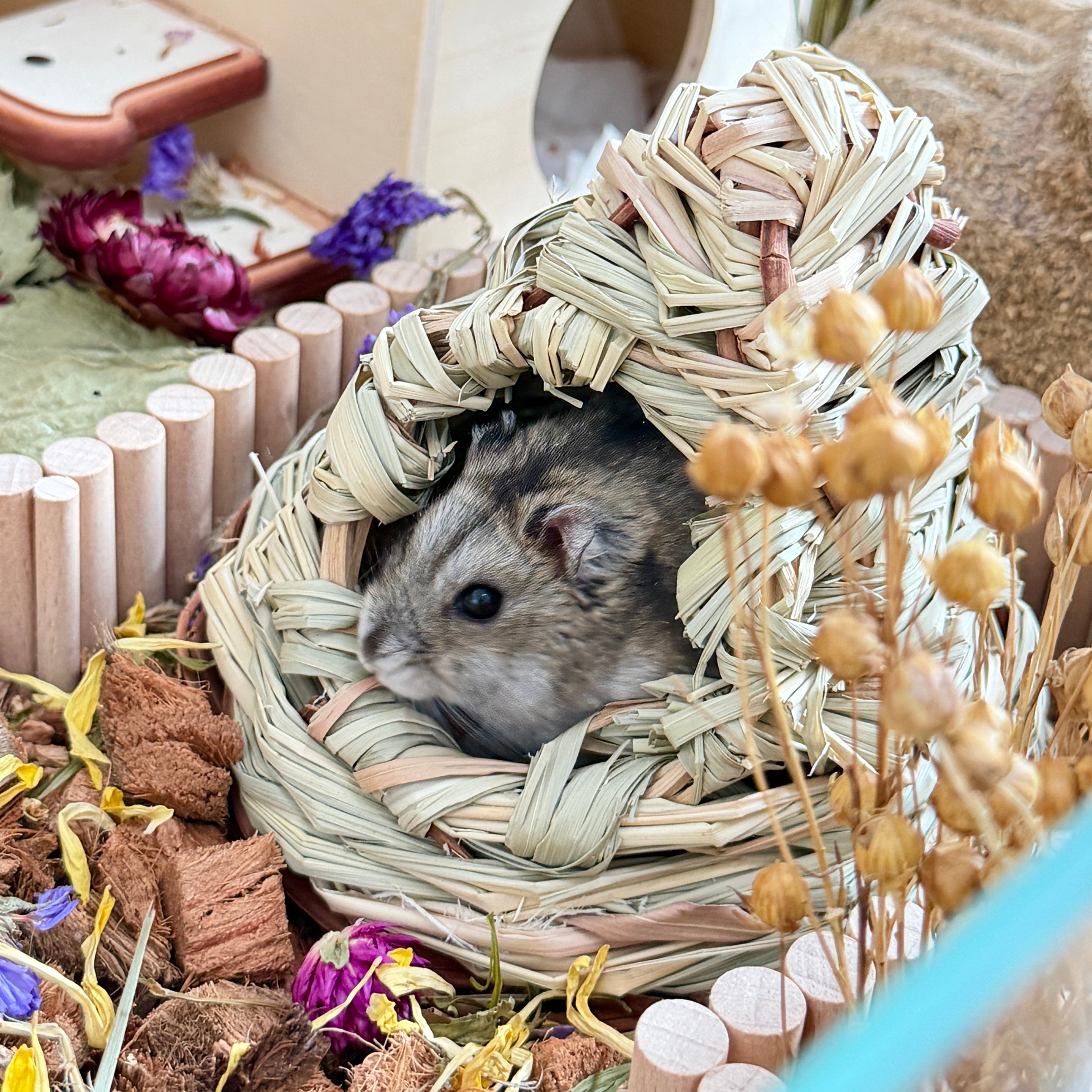 Triangle Woven Grass Hideout