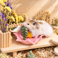 Leaf-Shaped Chew Treats